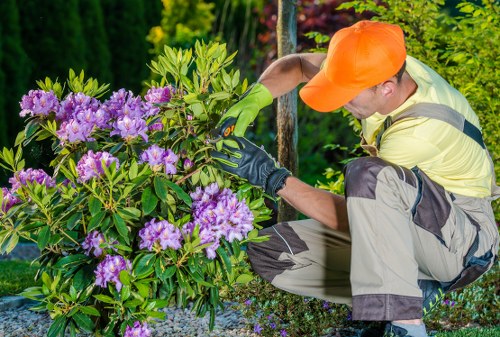 Operative trimming a hedge using powered equipment with PPE