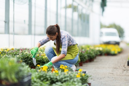 Eco-friendly lawn mowing practices in Crouch End