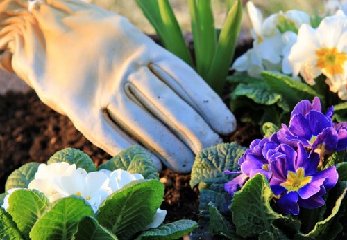 Seasonal lawn care tips for Crouch End gardens
