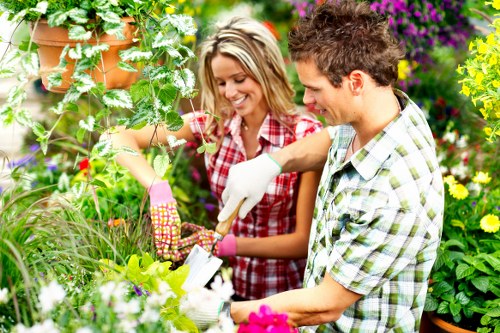 Choosing the right lawn mowing service in Crouch End