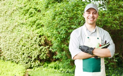 A professional gardener in Crouch End standing outdoors in a lush garden, wearing a white cap, striped shirt, green apron, and gardening gloves, smiling with arms crossed as he holds garden pruning shears. Behind him, there is a well-maintained hedge with dense green foliage, framing a lawn area composed of vibrant, evenly cut grass with a smooth surface. In the background, various shrubs and small trees add layers of greenery, while a gravel pathway or paved area is partially visible near the hedge, indicating a landscaped outdoor space typical of residential gardens in the vicinity. The scene is illuminated by natural daylight, suggesting a clear weather condition, with the overall environment demonstrating a tidy and well-cared-for garden space suitable for hedging, lawn care, and general outdoor maintenance services as offered by Hedge Trimming Crouch End.